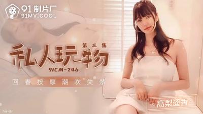 Jelly Media 91CM-246 プライベート慰み者 3 ~高橋はるか【魔導】